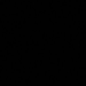 Meet your Posher, Jaleesa